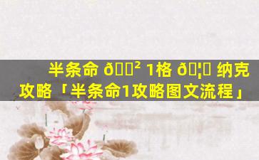 半条命 🌲 1格 🦁 纳克攻略「半条命1攻略图文流程」